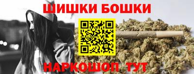 дмт Тверь