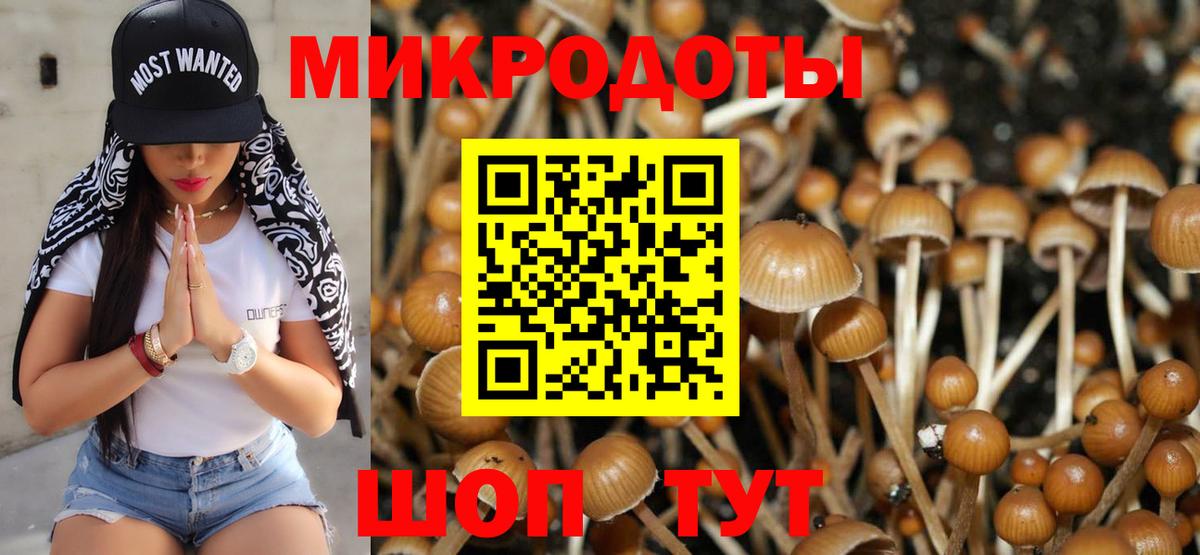 Псилоцибиновые грибы ЛСД Гусь-Хрустальный